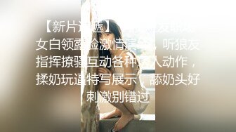 【三级】《巨乳女仆的诱惑》