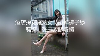 沈樵新作《小姨子勾引帅气警察姐夫》国语中文字幕