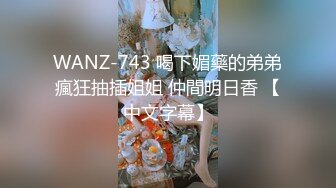 WANZ-743 喝下媚藥的弟弟瘋狂抽插姐姐 仲間明日香 【中文字幕】