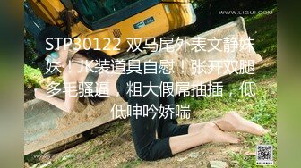 不做女神要做母狗，推特大神【L先生的后宫】明星气质极品圈养母狗日常各种被啪啪内射，淫叫声震耳欲聋的 (3)