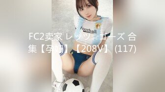 FC2卖家 レッツ☆ゴーズ 合集【孕妇】【208V】 (117)