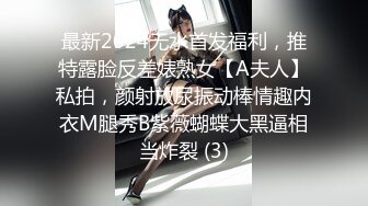 最新2024无水首发福利，推特露脸反差婊熟女【A夫人】私拍，颜射放尿振动棒情趣内衣M腿秀B紫薇蝴蝶大黑逼相当炸裂 (3)