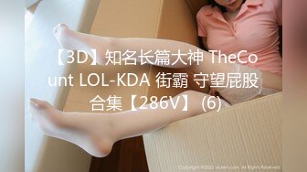 【3D】知名长篇大神 TheCount LOL-KDA 街霸 守望屁股 合集【286V】 (6)