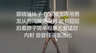 [中文字幕] IPX-324女友的著衣爆乳姊姊不斷對我巨乳全開猛烈示好