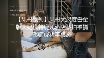 【果哥系列】果哥大尺度白金版大奶模特鹿儿酒店私拍被摄影师咸猪手猥亵