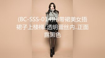 (BC-SSS-014)吊带裙美女捂裙子上楼梯..透明蕾丝内..正面露黑色