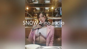 SNOW 4  no audio