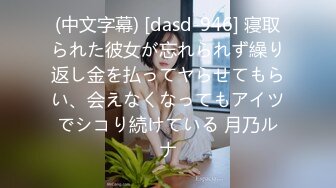 (中文字幕) [dasd-946] 寝取られた彼女が忘れられず繰り返し金を払ってヤらせてもらい、会えなくなってもアイツでシコり続けている 月乃ルナ