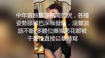 chinese_bunny OnlyFans 其他网站高清原档合集【51V】 (6)