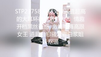 Neko-薇薇 丝绒女仆