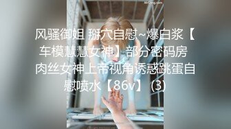 风骚御姐 掰穴自慰~爆白浆【车模慧慧女神】部分密码房 肉丝女神上帝视角诱惑跳蛋自慰喷水【86v】 (3)