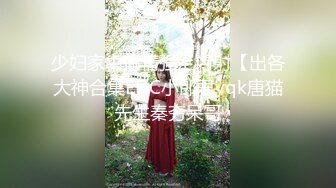 少妇家中偷情强上内射【出各大神合集EDC小郎君yqk唐猫先生秦夯呆哥