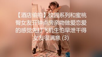 ✨华人网黄刘玥闺蜜「Fanny Ly」「李月如」OF私拍 穿情趣内衣在公共卫生间玩玩具自慰出白浆