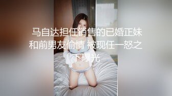 高挑制服小少妇（有手势验证）