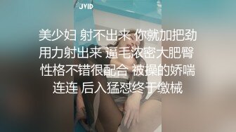 撕破黑丝后入豹纹丁字裤翘臀