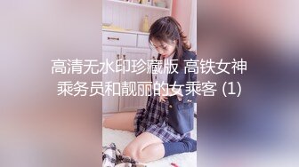 高清无水印珍藏版 高铁女神乘务员和靓丽的女乘客 (1)