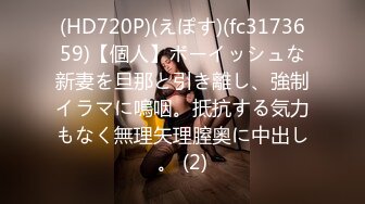 黏黏团子兔 NO.039 女仆小叽