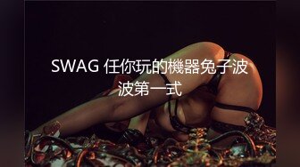 SWAG 任你玩的機器兔子波波第一式