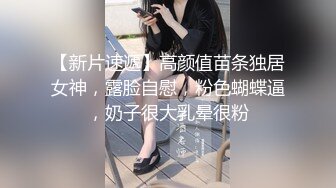 高能预警！比女人还女人极品网红CDTS【sehe】私拍，能攻能守3P4P真男假女混乱性交人体蜈蚣，相当淫乱视觉盛宴