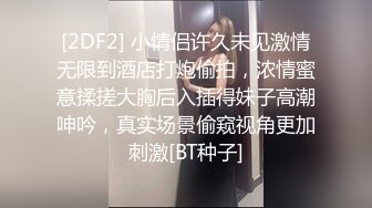 [2DF2] 小情侣许久未见激情无限到酒店打炮偷拍，浓情蜜意揉搓大胸后入插得妹子高潮呻吟，真实场景偷窥视角更加刺激[BT种子]