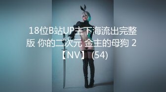 18位B站UP主下海流出完整版 你的二次元 金主的母狗 2 【NV】 (54)