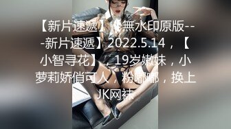 国产麻豆AV MSD MSD069 旗袍女神 新人女优 林晓雪