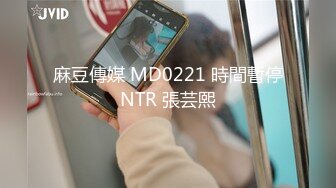 麻豆傳媒 MD0221 時間暫停NTR 張芸熙