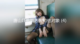 亚洲女仆在肮脏的铁杆中尝试两只公鸡